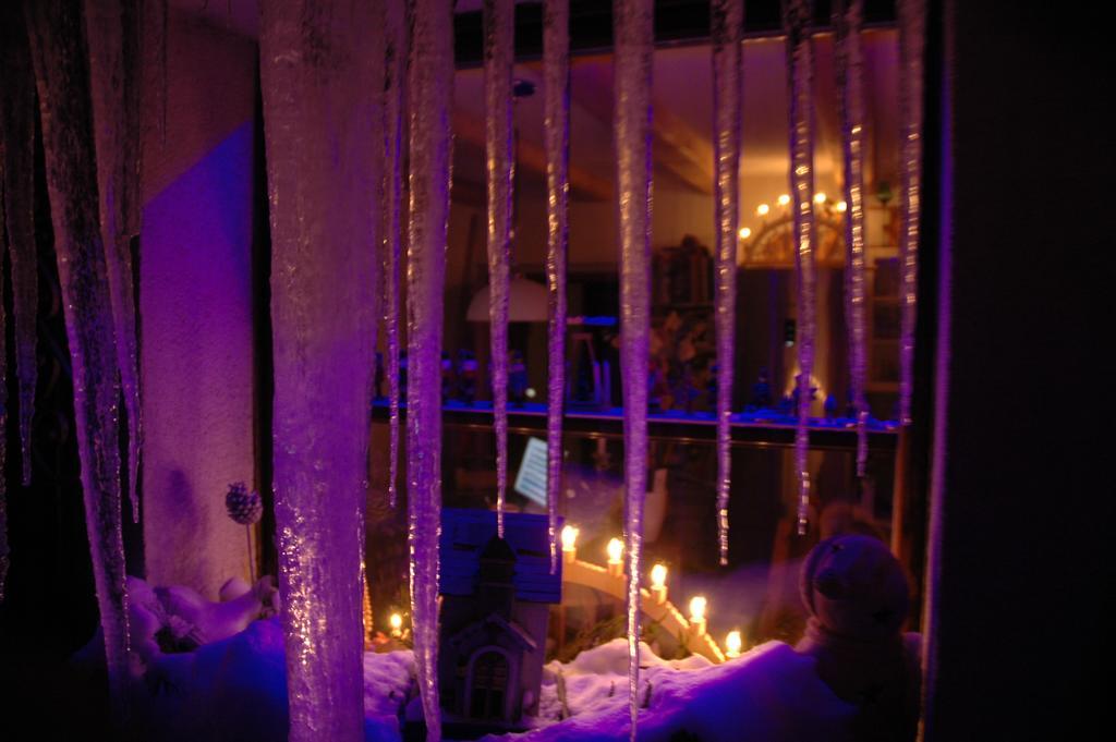 Ferienwohnung Aronia Garten Oberwiesenthal Zewnętrze zdjęcie