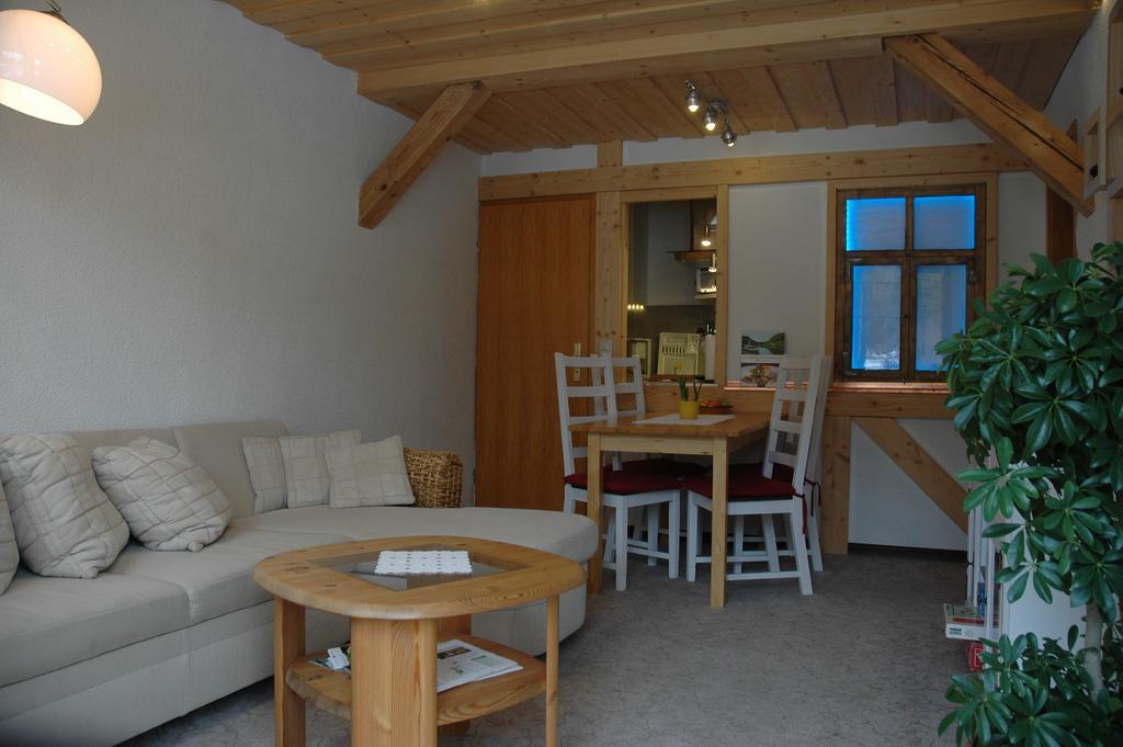 Ferienwohnung Aronia Garten Oberwiesenthal Zewnętrze zdjęcie