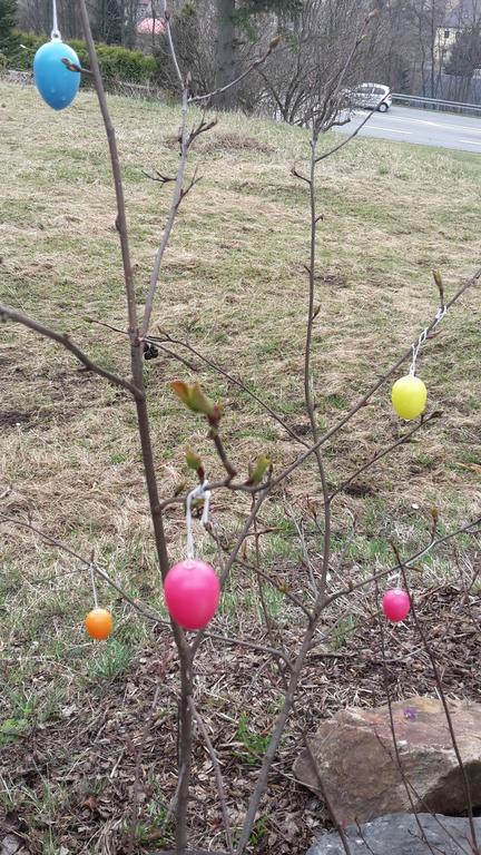 Ferienwohnung Aronia Garten Oberwiesenthal Zewnętrze zdjęcie