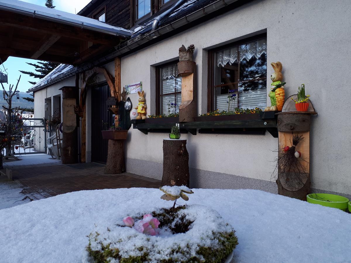 Ferienwohnung Aronia Garten Oberwiesenthal Zewnętrze zdjęcie